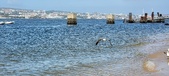 Enlarge photo 178