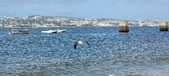 Enlarge photo 179