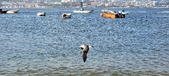 Enlarge photo 180