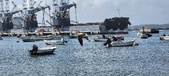 Enlarge photo 181