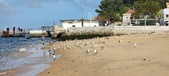 Enlarge photo 182