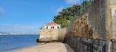 Enlarge photo 209