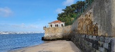 Enlarge photo 217