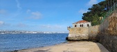 Enlarge photo 221