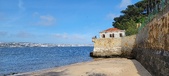 Enlarge photo 223