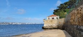 Enlarge photo 224