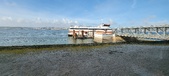 Enlarge photo 239