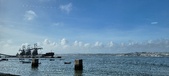Enlarge photo 261