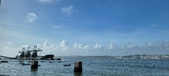Enlarge photo 265