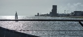 Enlarge photo 295