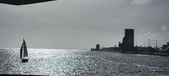 Enlarge photo 299