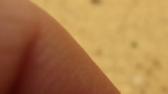 Enlarge MPEG4 35