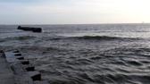 Enlarge MPEG4 34