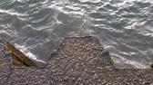 Enlarge MPEG4 44