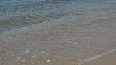 Enlarge MPEG4 67