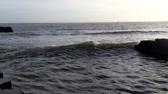 Enlarge MPEG4 39