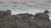 Enlarge MPEG4 9