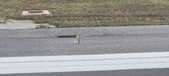 Enlarge photo 40