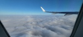 Enlarge photo 45