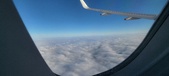 Enlarge photo 51