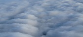 Enlarge photo 52