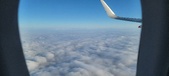 Enlarge photo 57