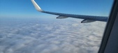 Enlarge photo 58