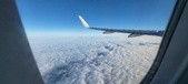 Enlarge photo 79
