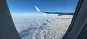 Enlarge photo 80
