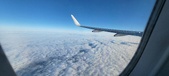 Enlarge photo 81