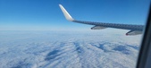 Enlarge photo 84