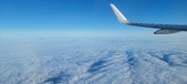 Enlarge photo 85