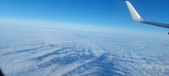 Enlarge photo 95