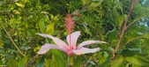 Enlarge photo 30