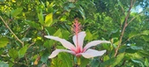 Enlarge photo 37