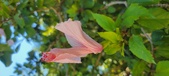 Enlarge photo 36