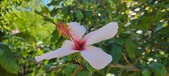 Enlarge photo 41