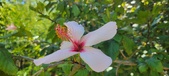 Enlarge photo 40