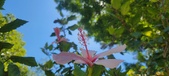 Enlarge photo 39