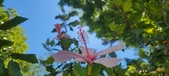 Enlarge photo 38