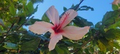 Enlarge photo 44
