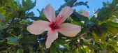 Enlarge photo 43