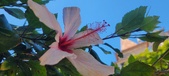 Enlarge photo 42