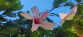 Enlarge photo 49