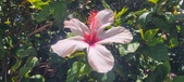 Enlarge photo 48