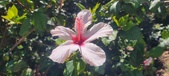 Enlarge photo 47