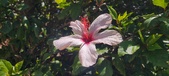 Enlarge photo 46
