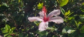 Enlarge photo 53
