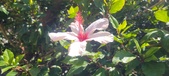 Enlarge photo 52