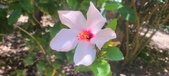 Enlarge photo 51